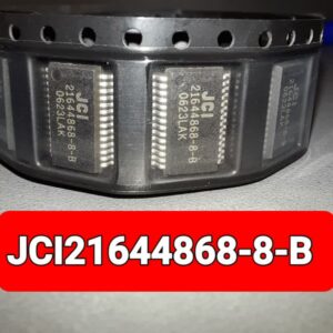 JCI21644868-8-B